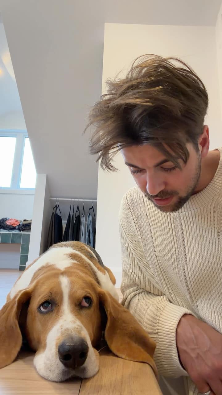 Le chien de Sansdrick Lavoie vole le show sans même ouvrir la gueule