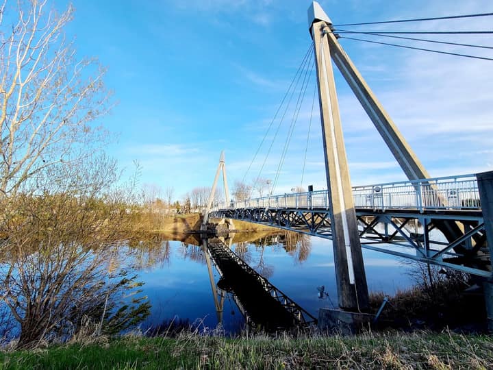 La tourtière du Lac-Saint-Jean, le plat mijoté qui rassemble tout le monde autour de la table